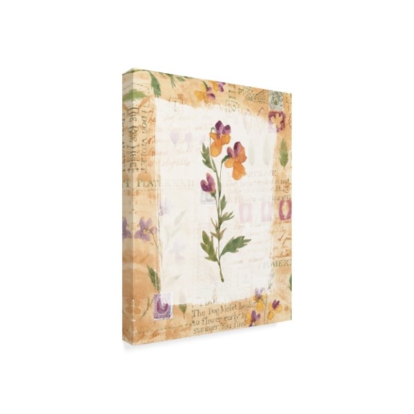 Hope Street Designs 'Yellow Purple Flower' Canvas Art,24x32